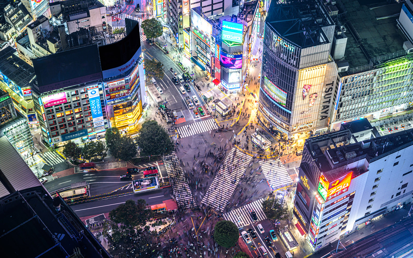 Aerial night view of Shibuya Crossing